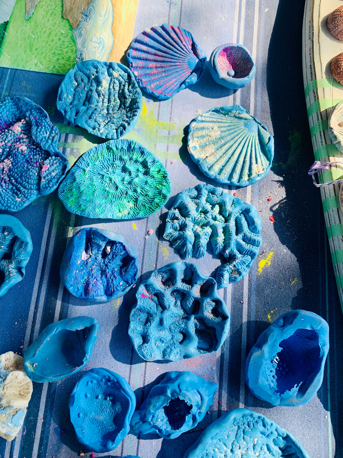 Sea Lab – Sea Lab Science